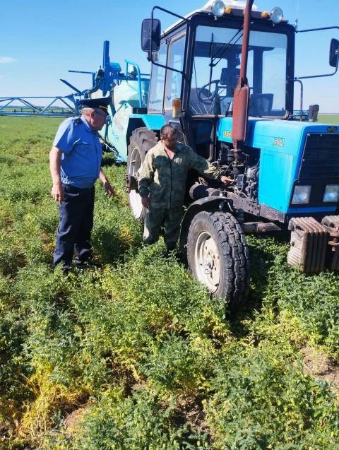 💬        В ЗАО «Красный Октябрь» Веселовского района (хозяйство, сельхозпредприятие) полным ходом и