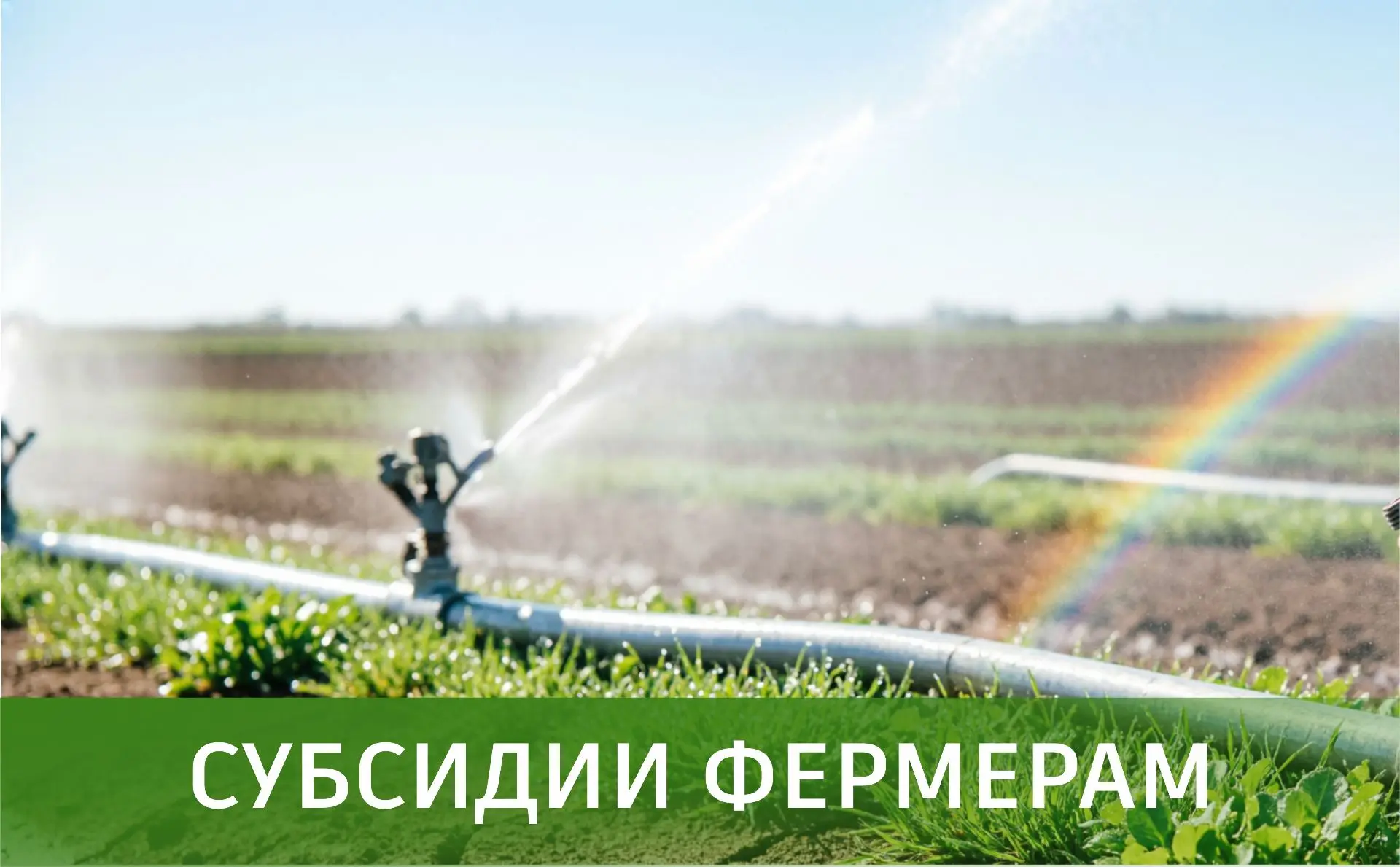 Вниманию сельхозтоваропроизводителей: объявлен отбор получателей субсидий!