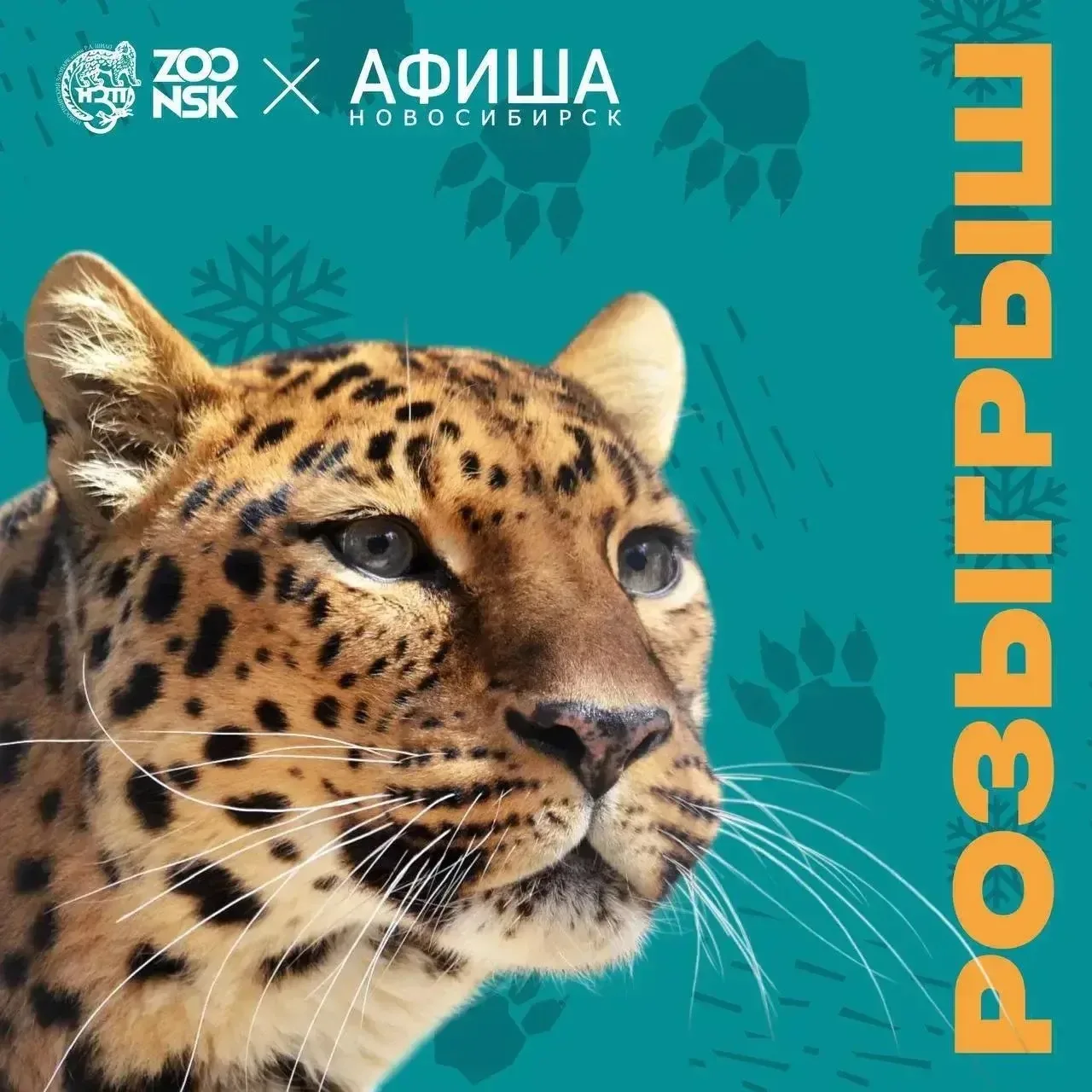 РОЗЫГРЫШ БИЛЕТОВ В ЗООПАРК И ПРОЖИВАНИЕ В ГОСТИНИЦЕ 5⭐️❗️❗️❗️