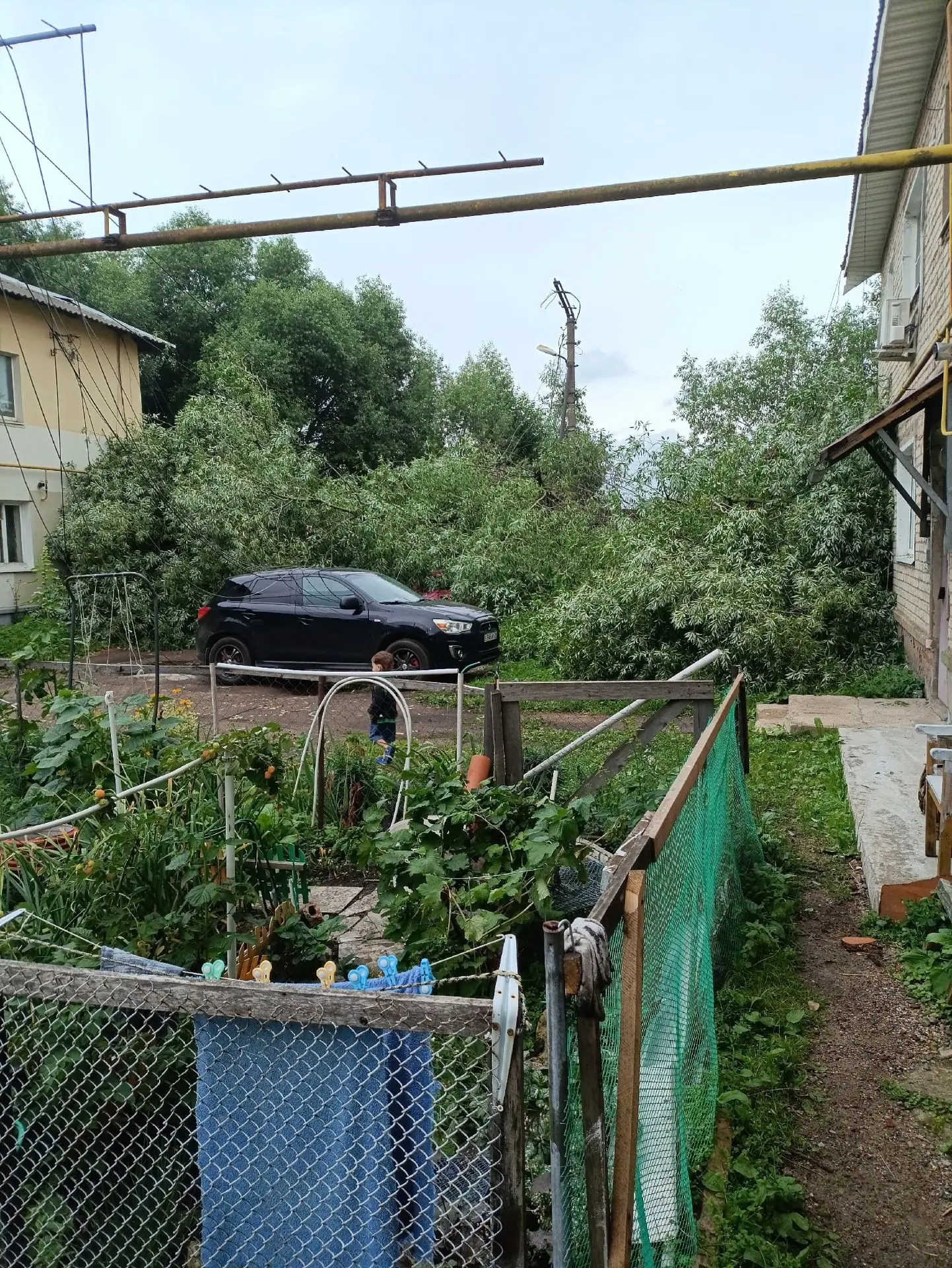 На ул Кардовского 86 упало сегодня  5.07.2027 утром  дерево. Оборвало все провода. Позв...