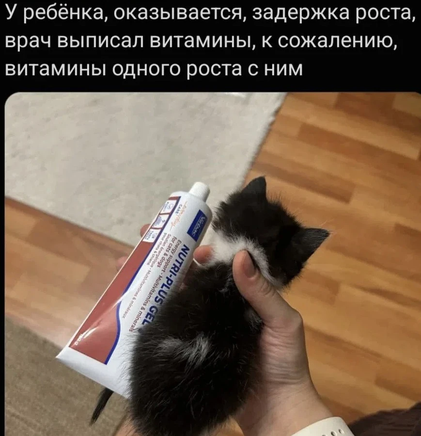 Кота можно назвать тюбик)