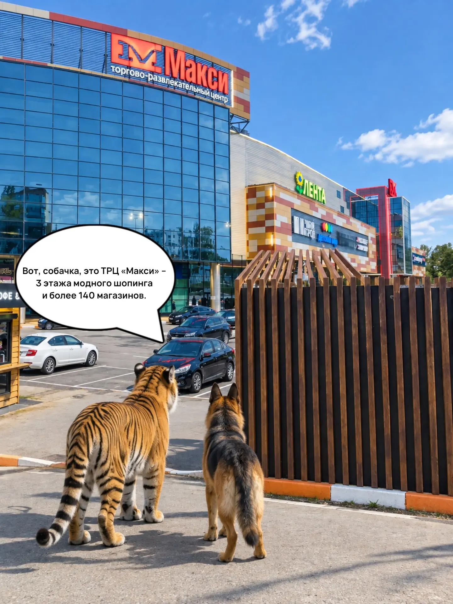 Вот такой торговый центр, собачка 🐶