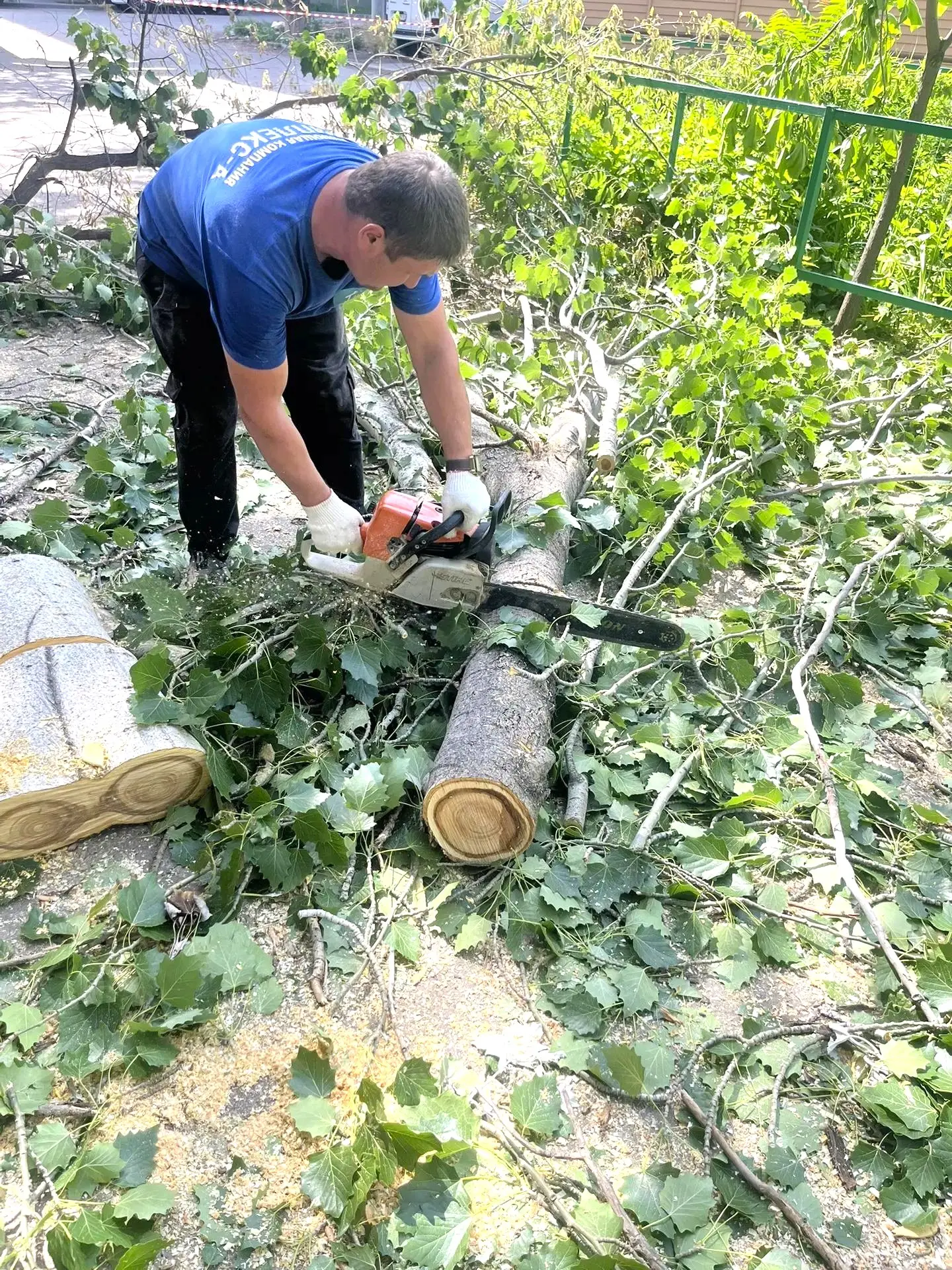 К новости «🌳 Комплексный подход: от опиловки до идеальной чистоты!»