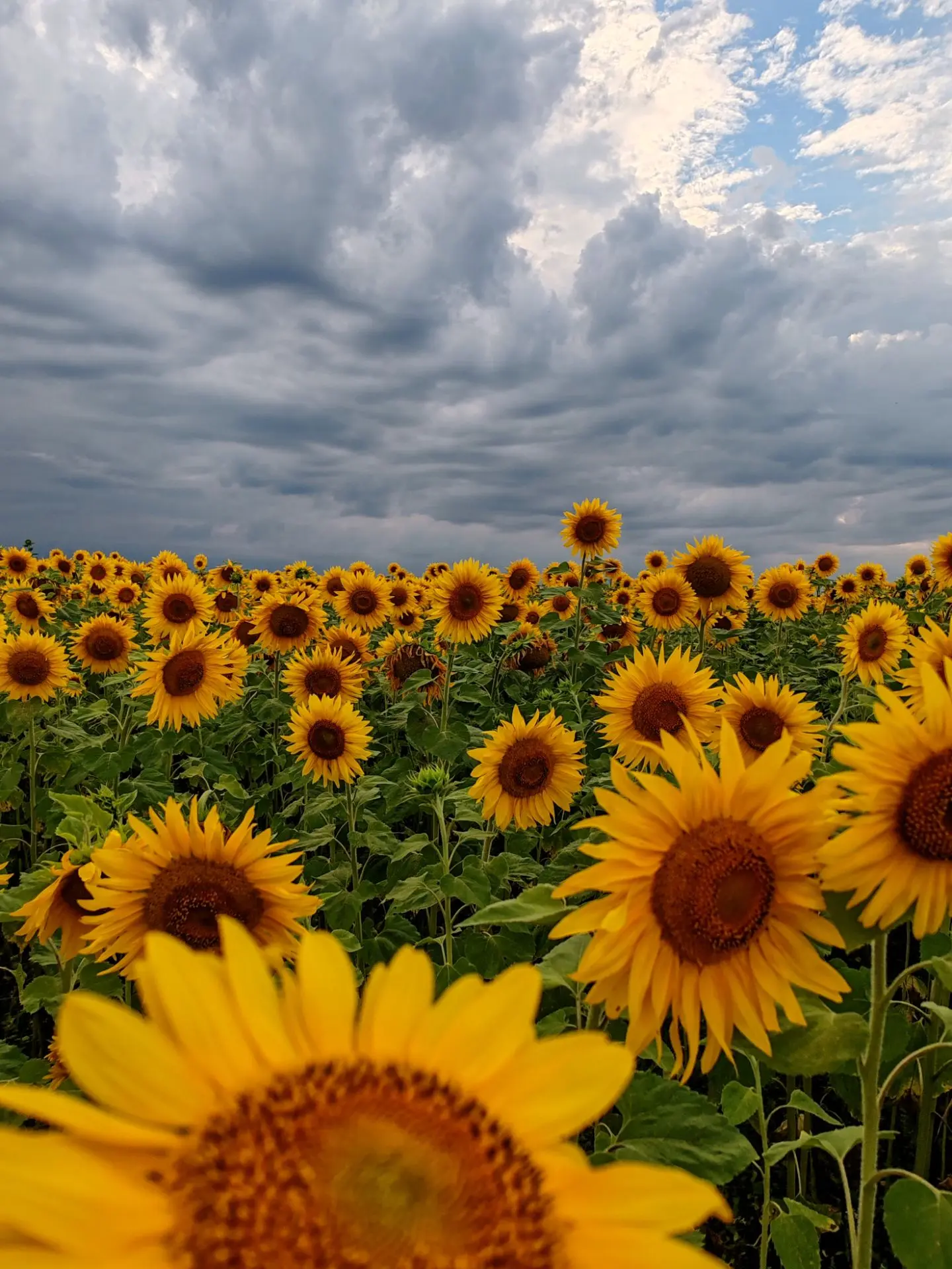 Последний день лета ☀️