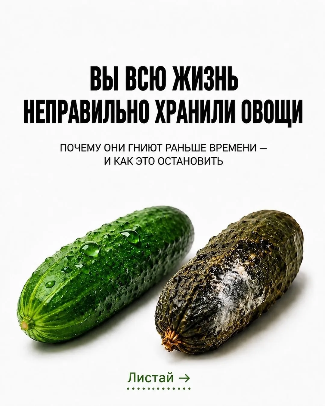 Девочки, это база