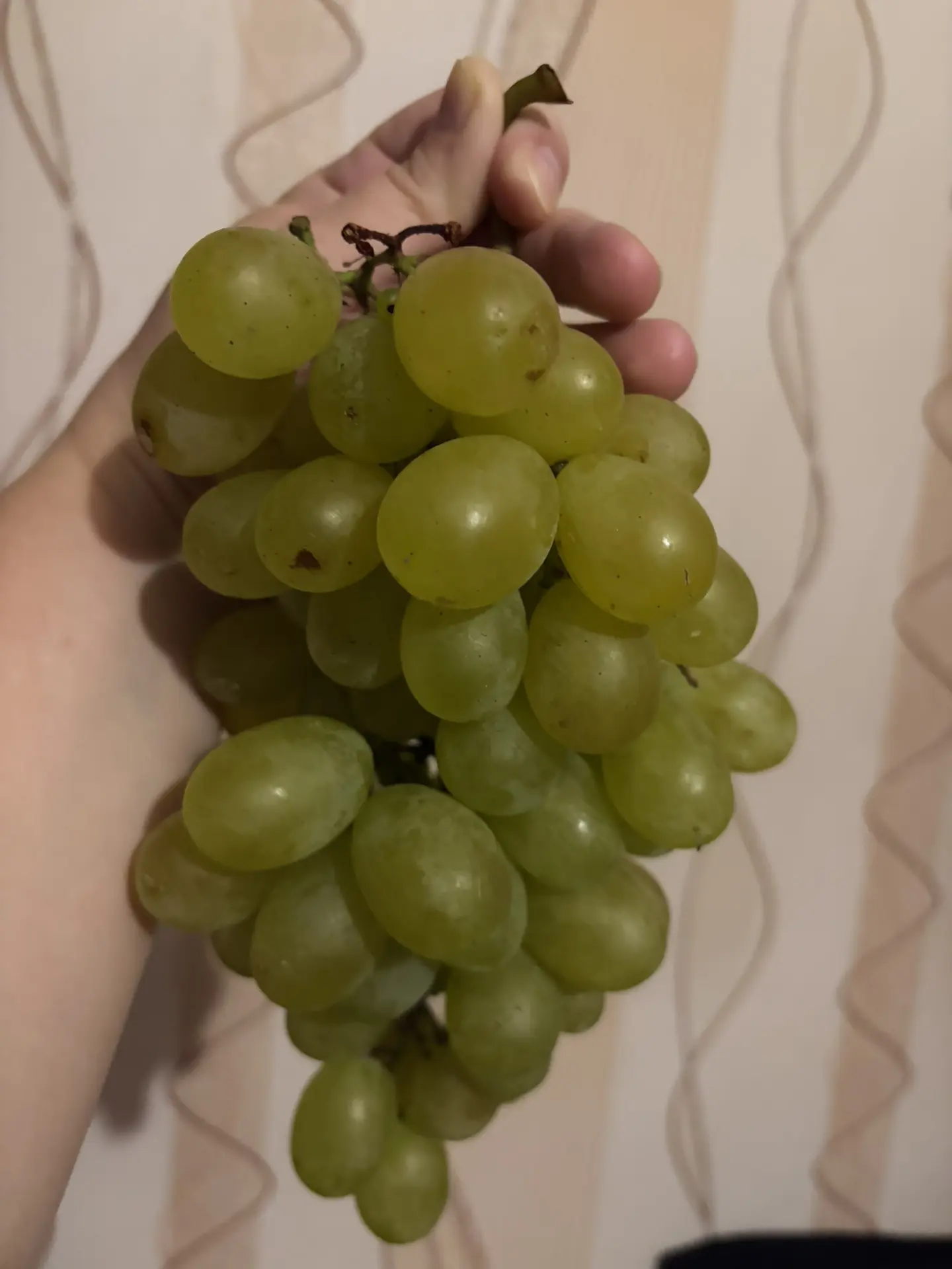 Андрея угостили  на работе, а он нам привёз, ягоды огромные 🤗