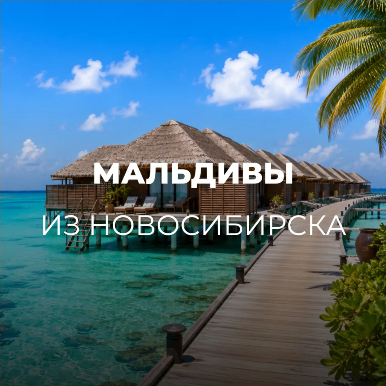 МАЛЬДИВЫ ИЗ НОВОСИБИРСКА 🇲🇻