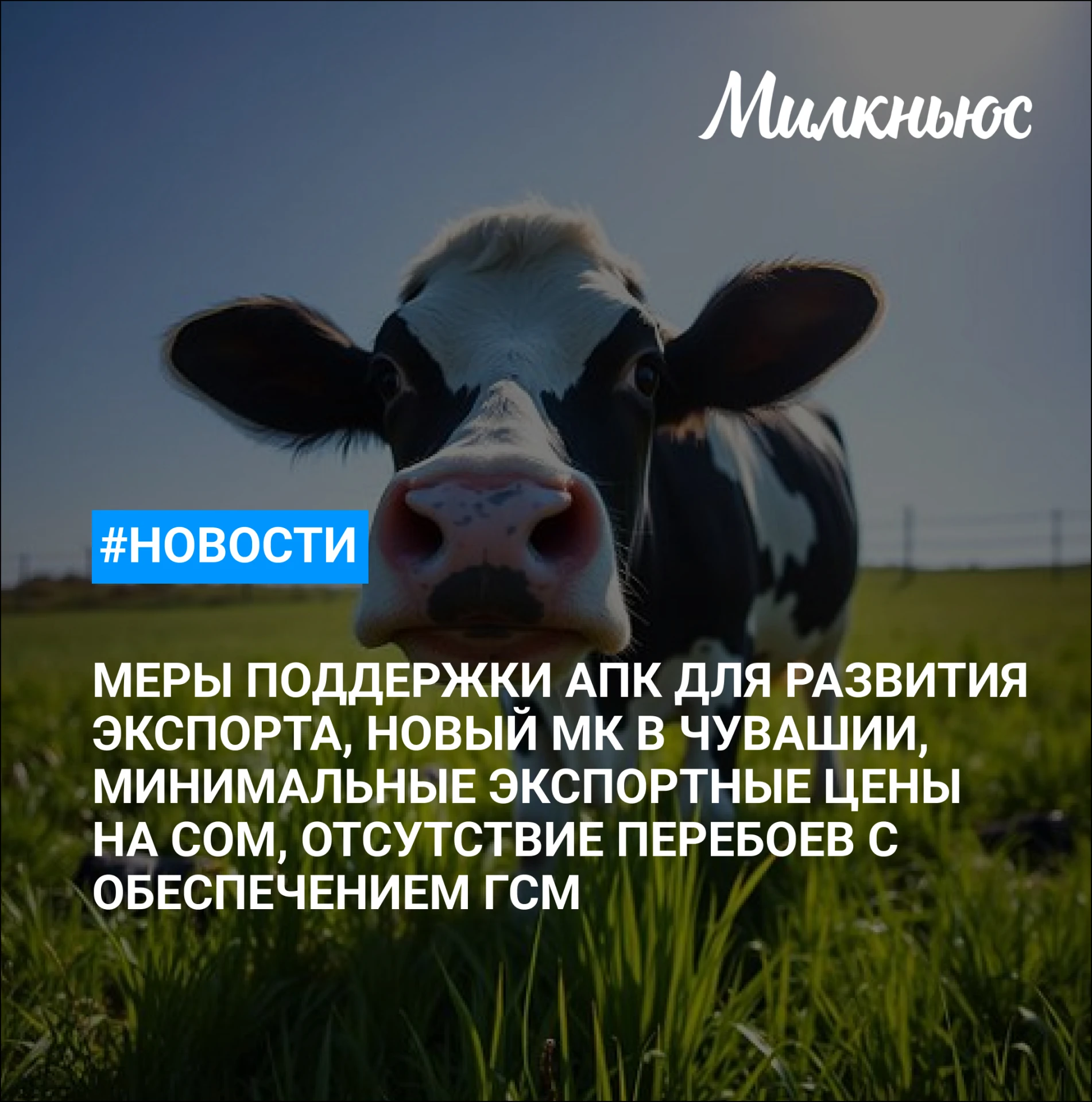 ⚡️ Минсельхоз готовит новые меры поддержки АПК для развития экспорта