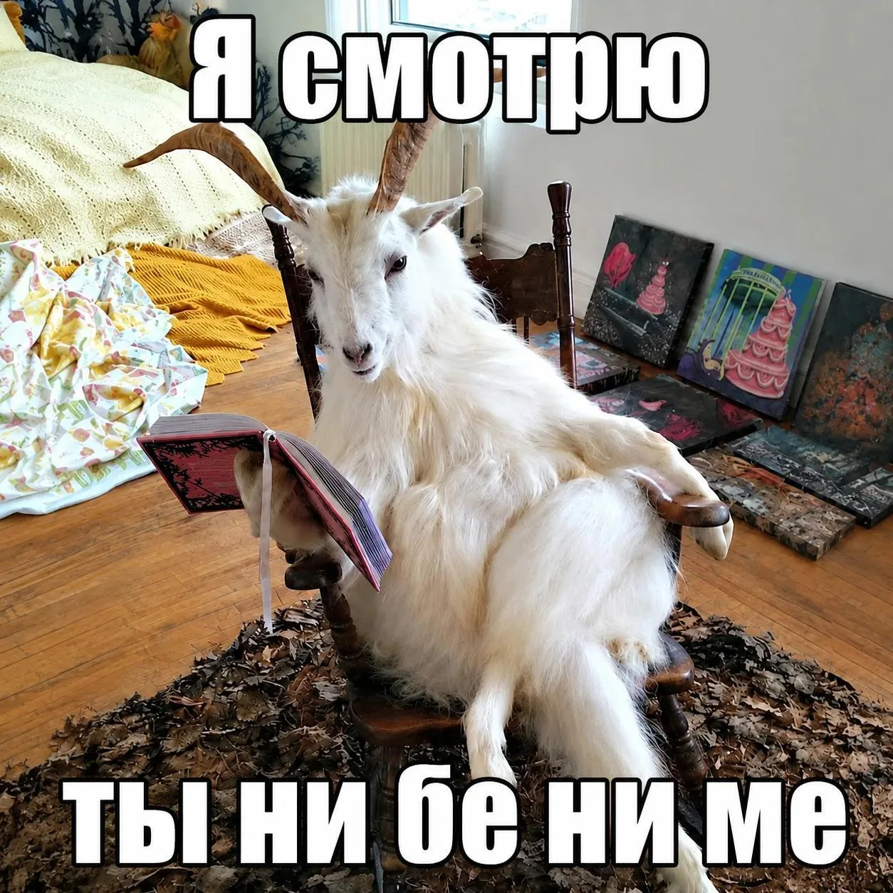 Что ответить друзьям, которые осуждают тебя за чтение летом😀
