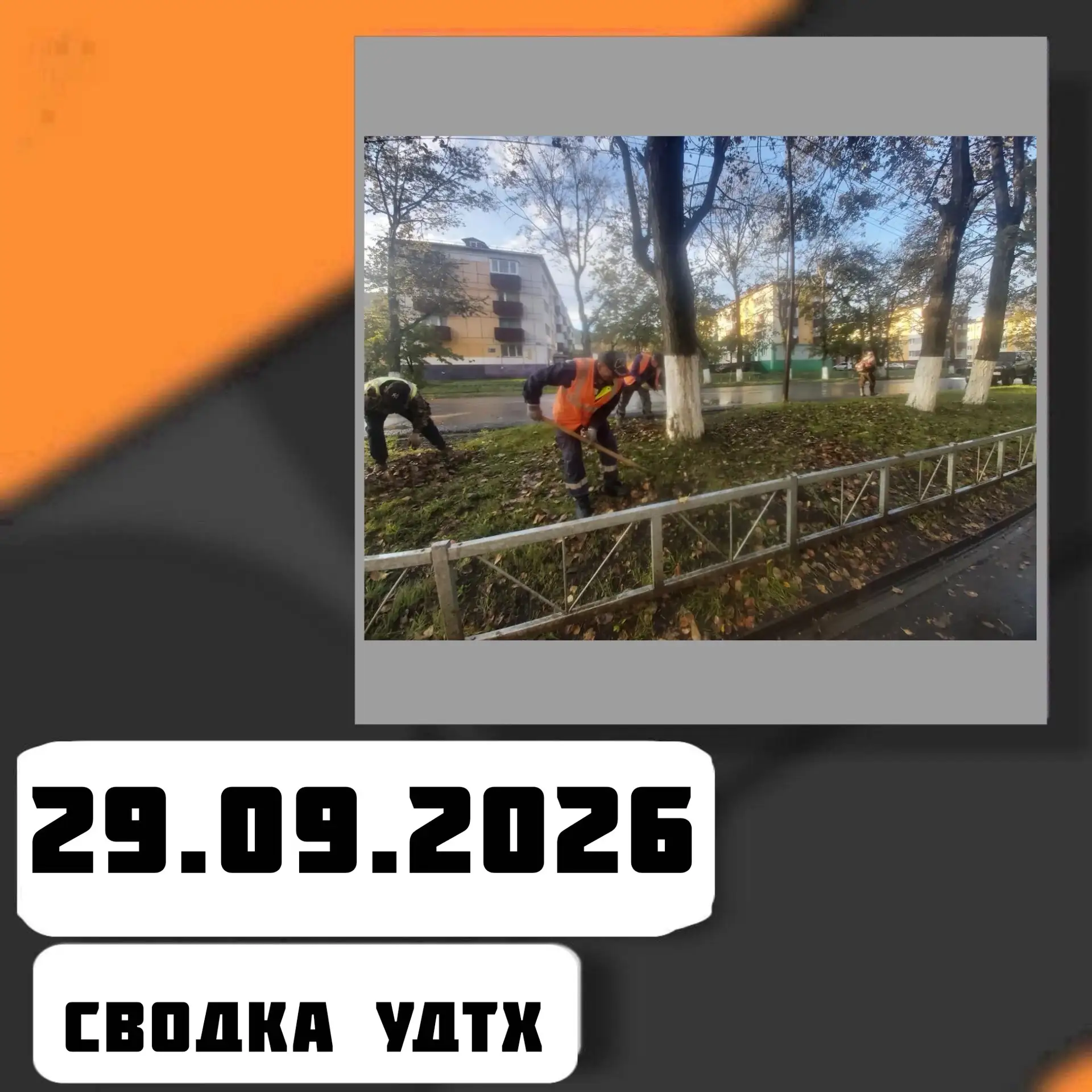 ➡️Сводка УДТХ на 29.09.2026