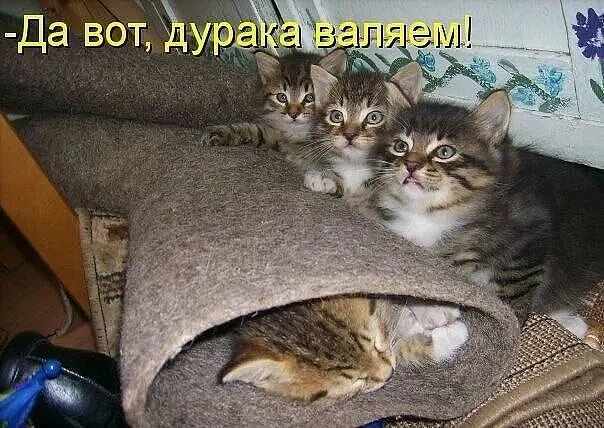 Улыбаемся, хорошим настроением заряжаемся!  😊