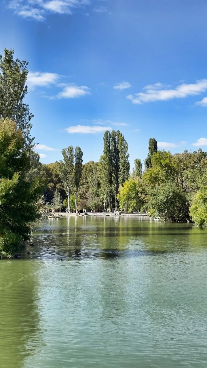 Один октябрьский день в Гагаринском парке 🦆