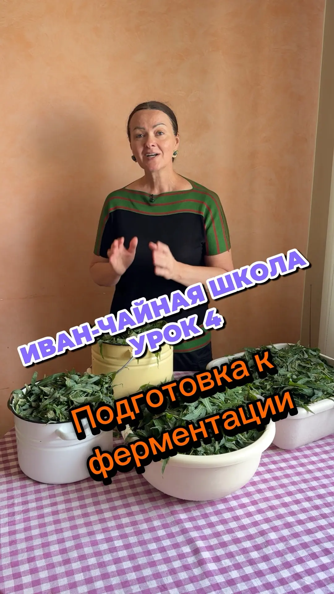 Урок 4. Иван-Чайная школа

https://vk.ru/clip-211127185_456239282?c=1
