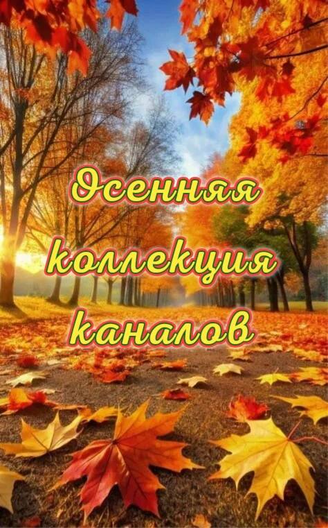 Осенняя коллекция каналов: