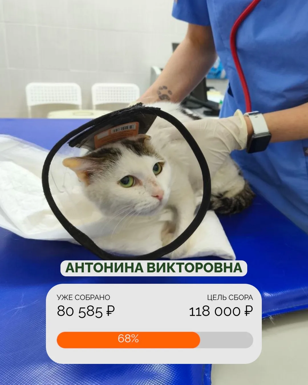 В последнее время сборы идут непросто 💔

Мы знаем, что сейчас непростое время для многих, но каждый