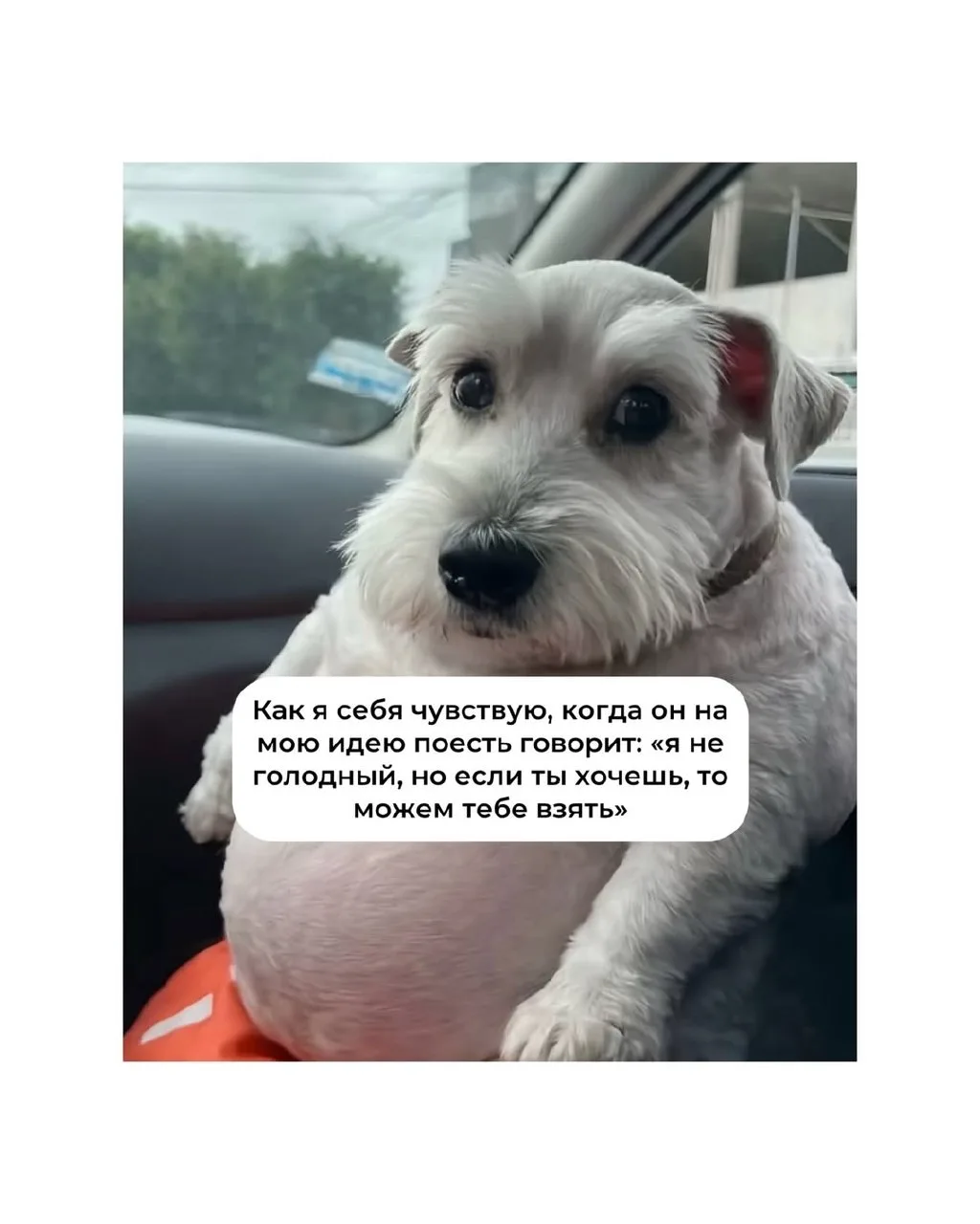 ​​😂😂😂