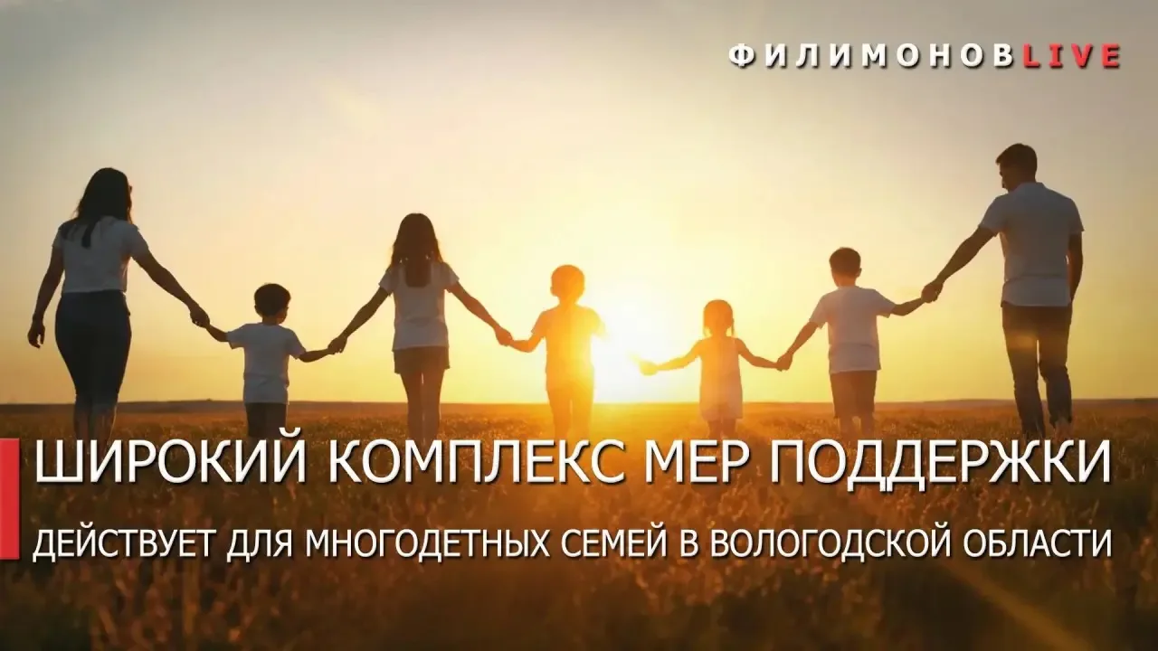 Более 20 мер поддержки многодетных семей действует в Вологодской области.