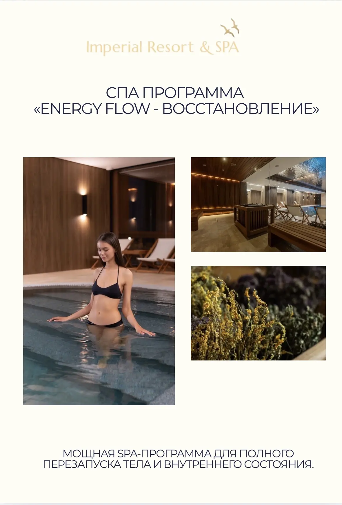 SPA-программа «Energy Flow — Восстановление »