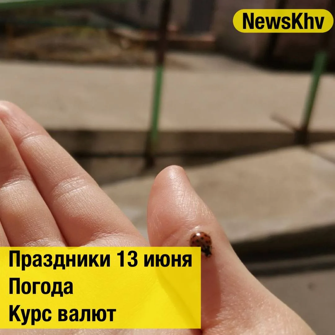 •День мебельщика
•День пивовара
•Международный день распространения информации об альбинизме
•День р