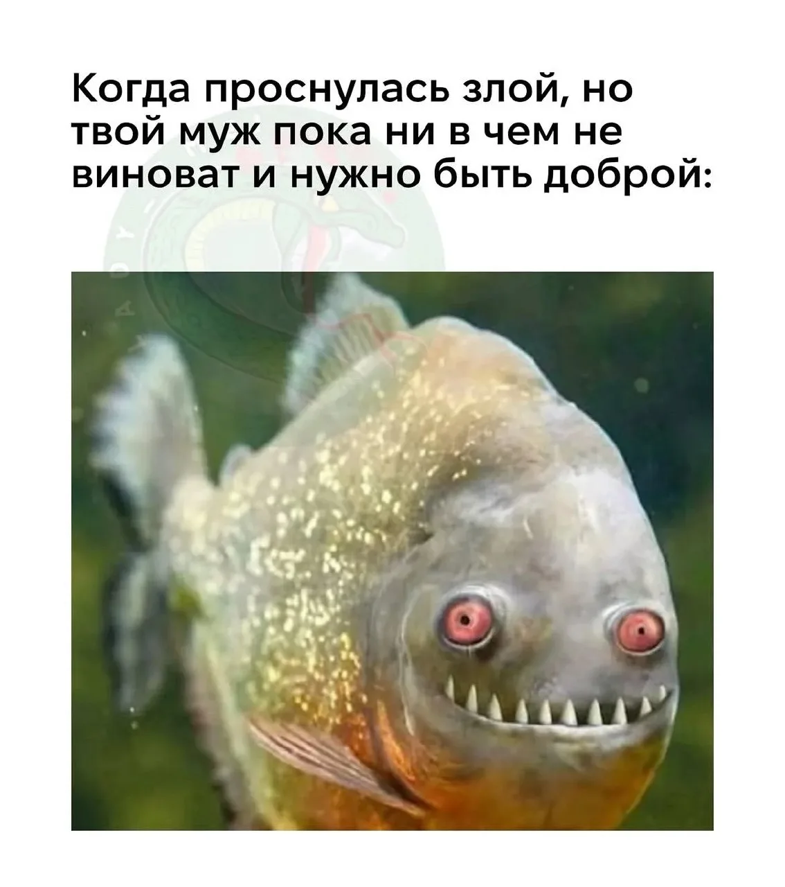 Открытки и приколы 🌸