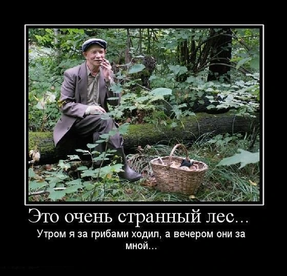 Вчера 70-летний дед Петрович пошёл по грибы в районе посёлка Совхозное. Леший решил под...