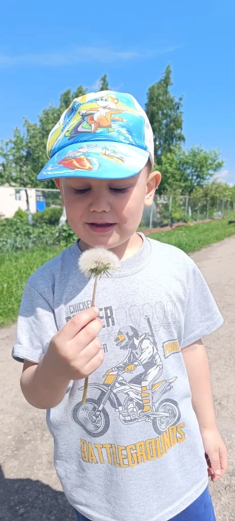 👀 Наблюдение «Эти удивительные одуванчики» 🌼🌼🌼🌼🌼🌼🌼🌼🌼🌼🌼🌼🌼