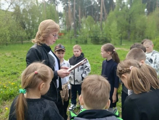 НА СОЛНЕЧНОЙ ПОЛЯНОЧКЕ