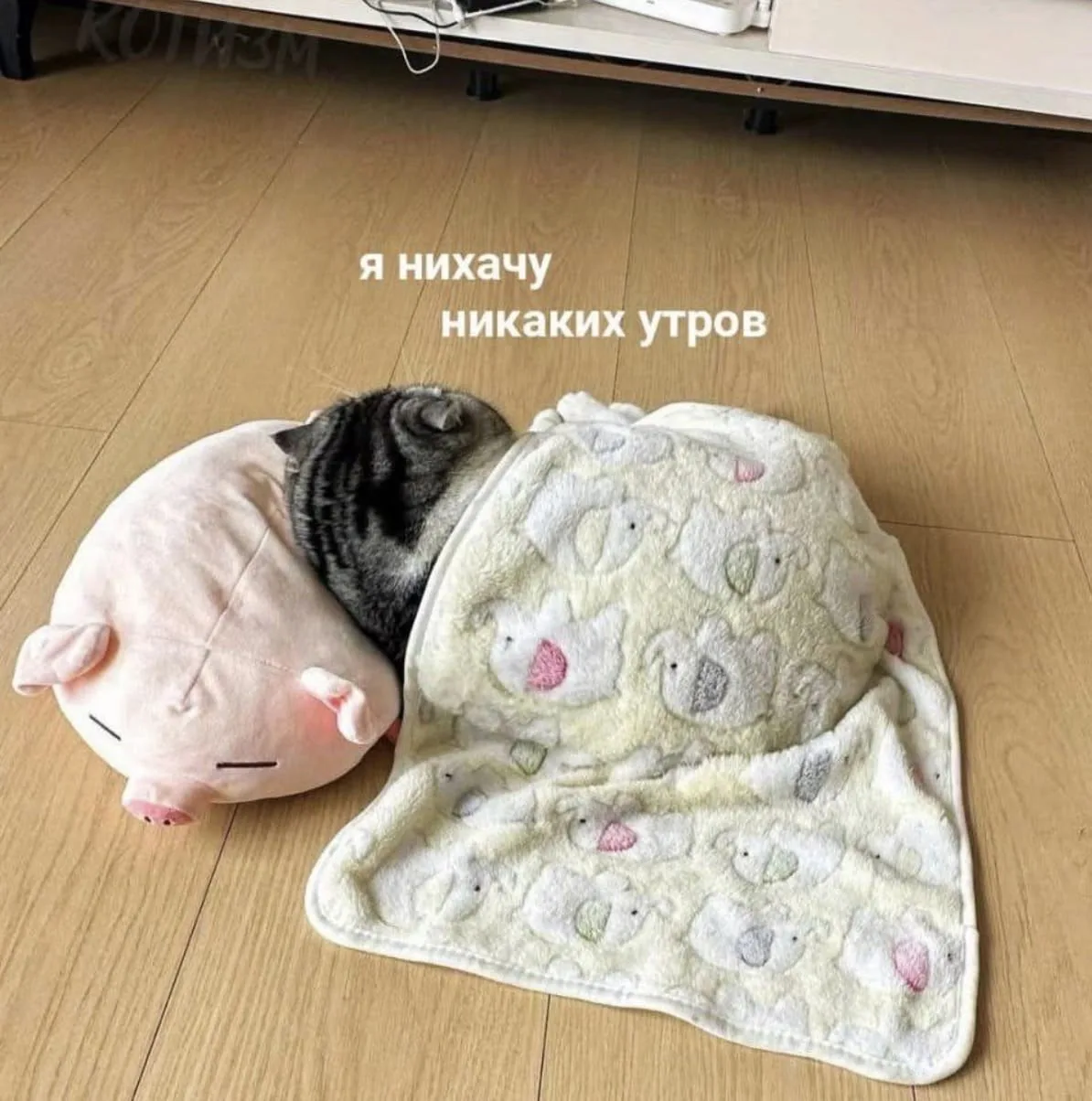 🌟 мой вайб по утрам: