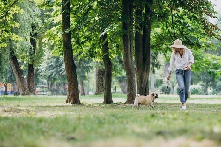 🌞ЛЕТНИЕ ОПАСНОСТИ ДЛЯ ПИТОМЦЕВ: что необходимо знать каждому владельцу!🐾
🔥ТЕПЛОВЫЕ УДАРЫ

С насту