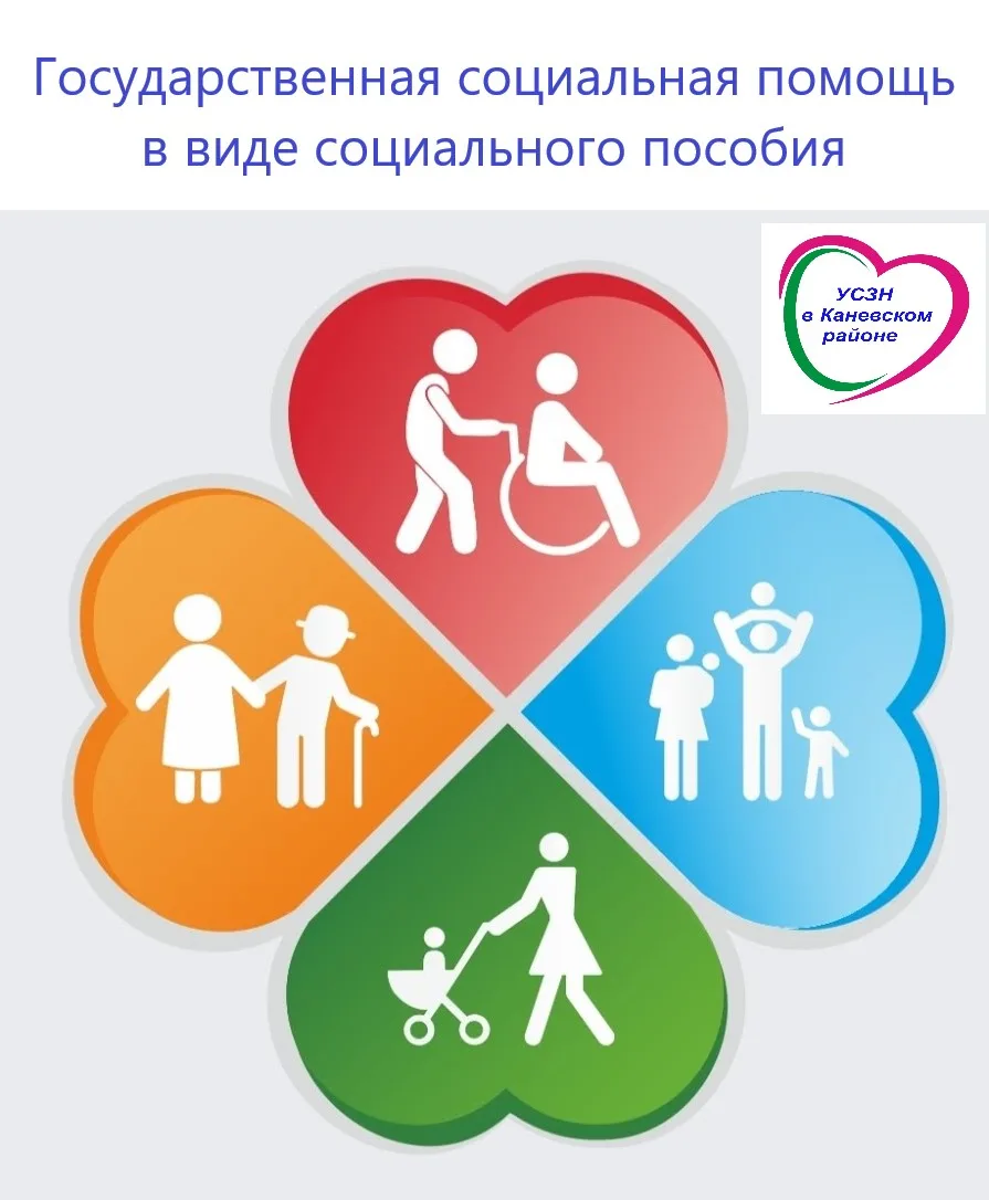 Государственная социальная помощь в виде социального пособия
