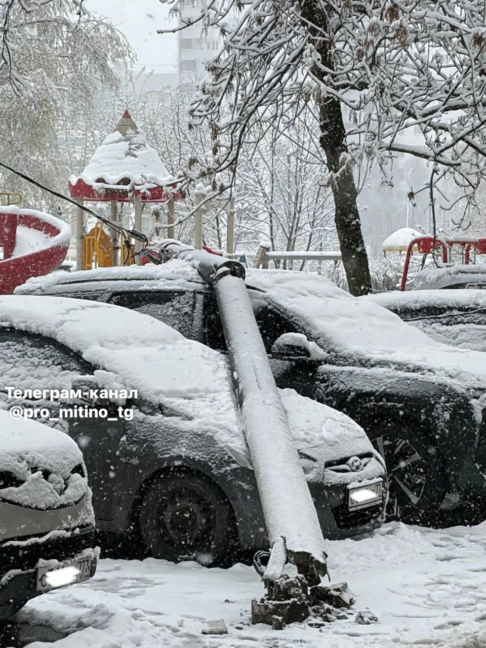 ❗️ВНИМАНИЕ В Москве и области массово падают деревья из-за налипшего снега  Мокрый снег ломает ветки