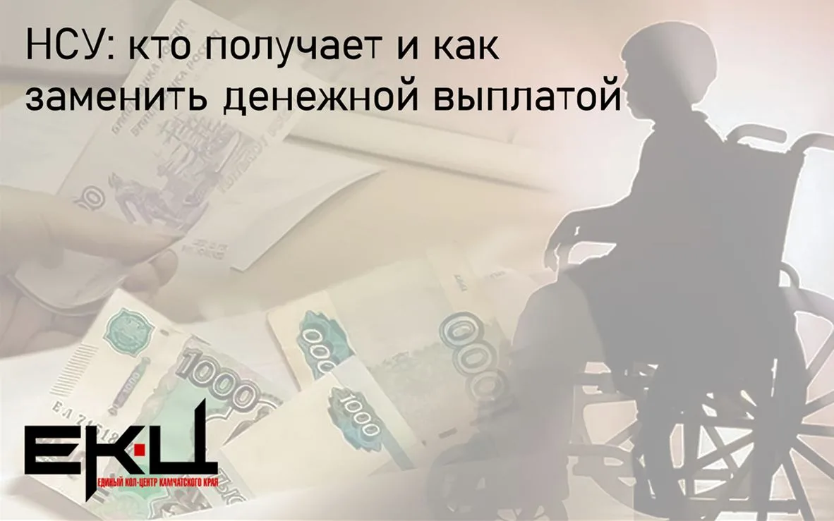 ☝НСУ (набор социальных услуг) — пакет социальных мер поддержки для отдельных категорий ...