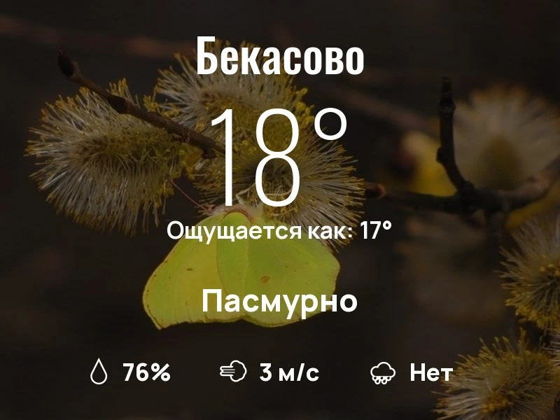 Что с погодой в Бекасово?