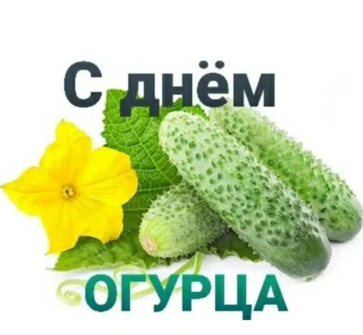 🧐РУБРИКА: А знаете ли вы, что…