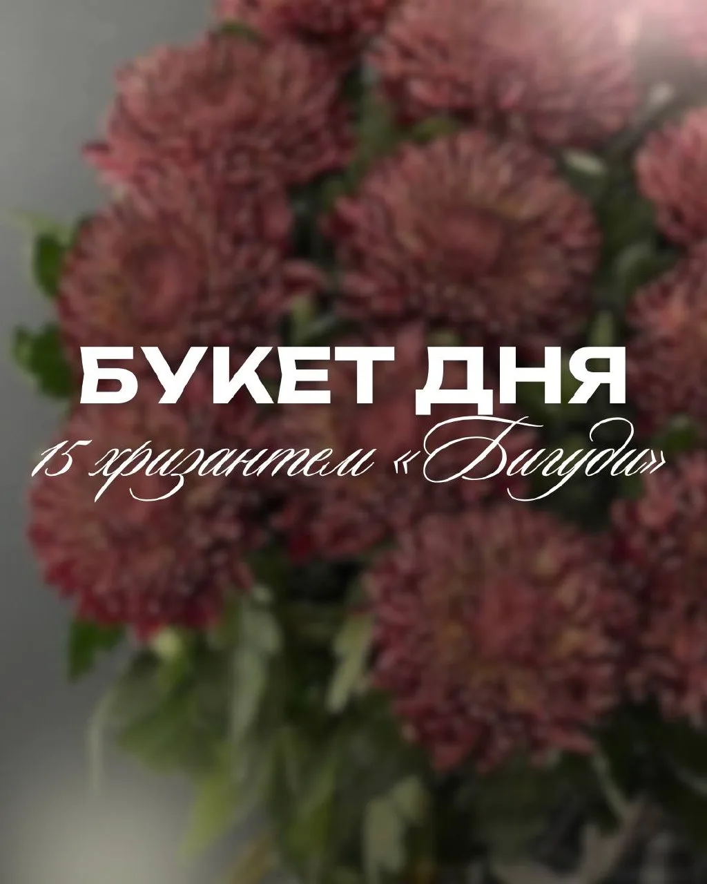 ✨БУКЕТ ДНЯ✨