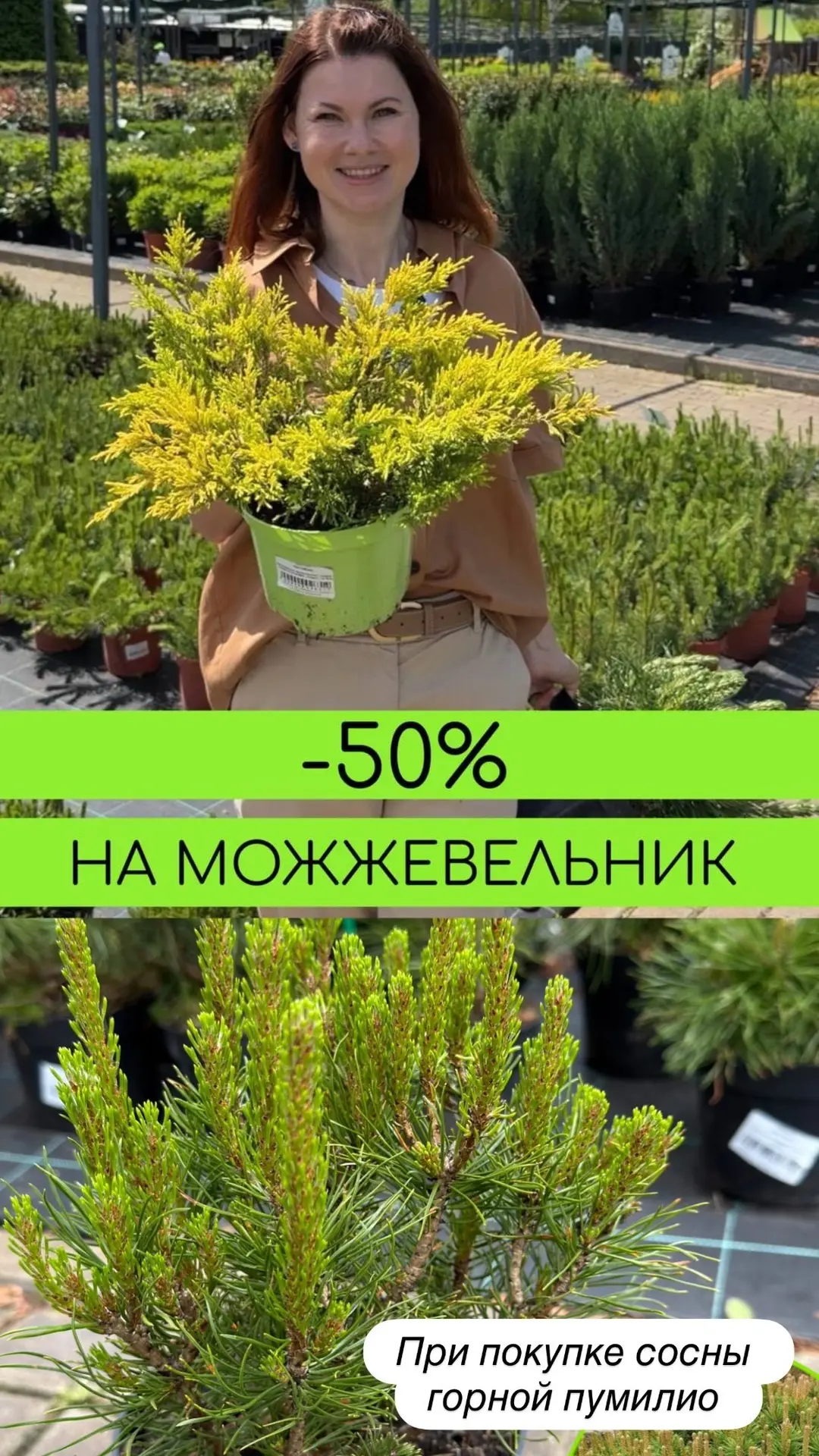 Акция в РОСТОВСАД с 25 по 31 мая!!!