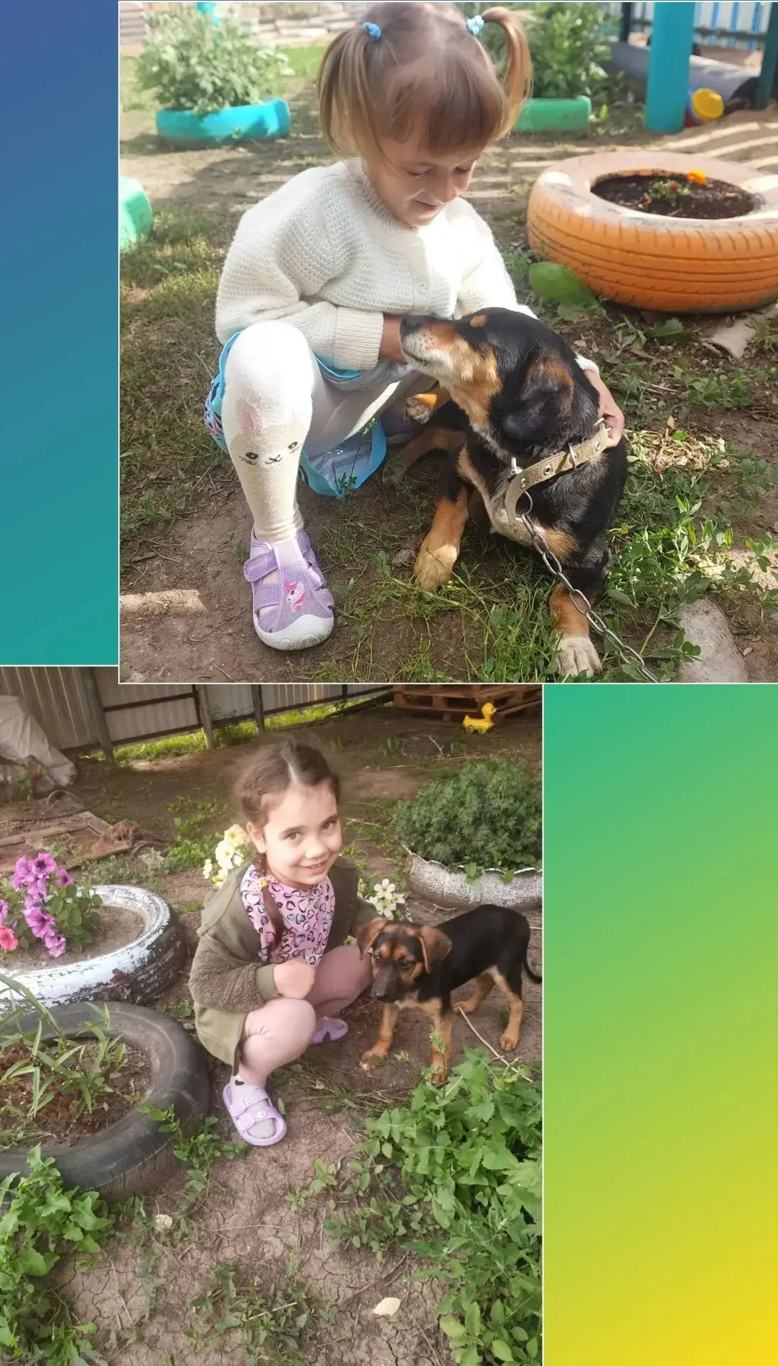 🐕 Международный день собак: Почему этот праздник важен для детей! 🐶
Дорогие друзья! 👦👧 Сегодня м