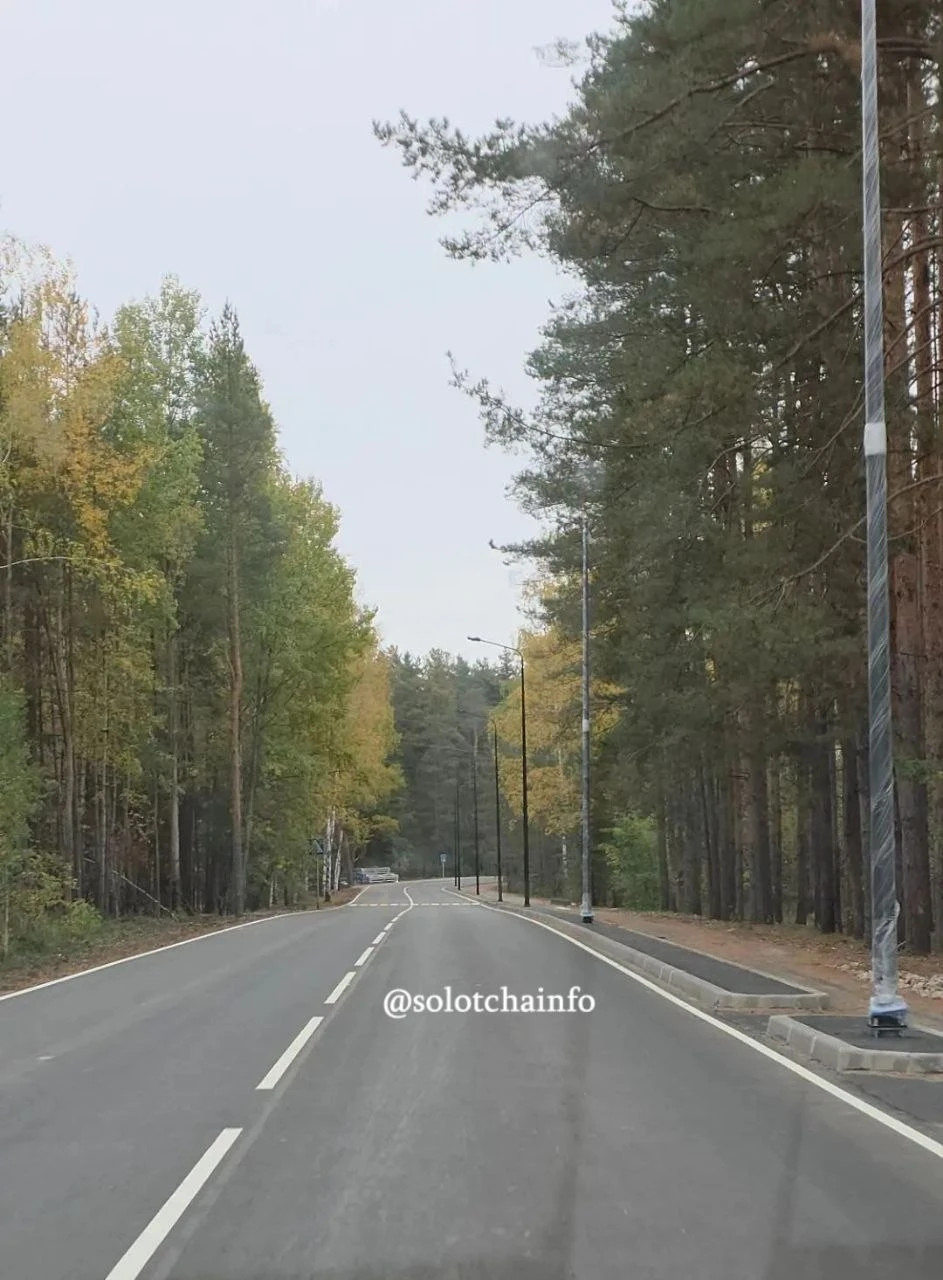 На новой дороге к «Сосновому бору» появились разметка и столбы освещения. Завершить раб...