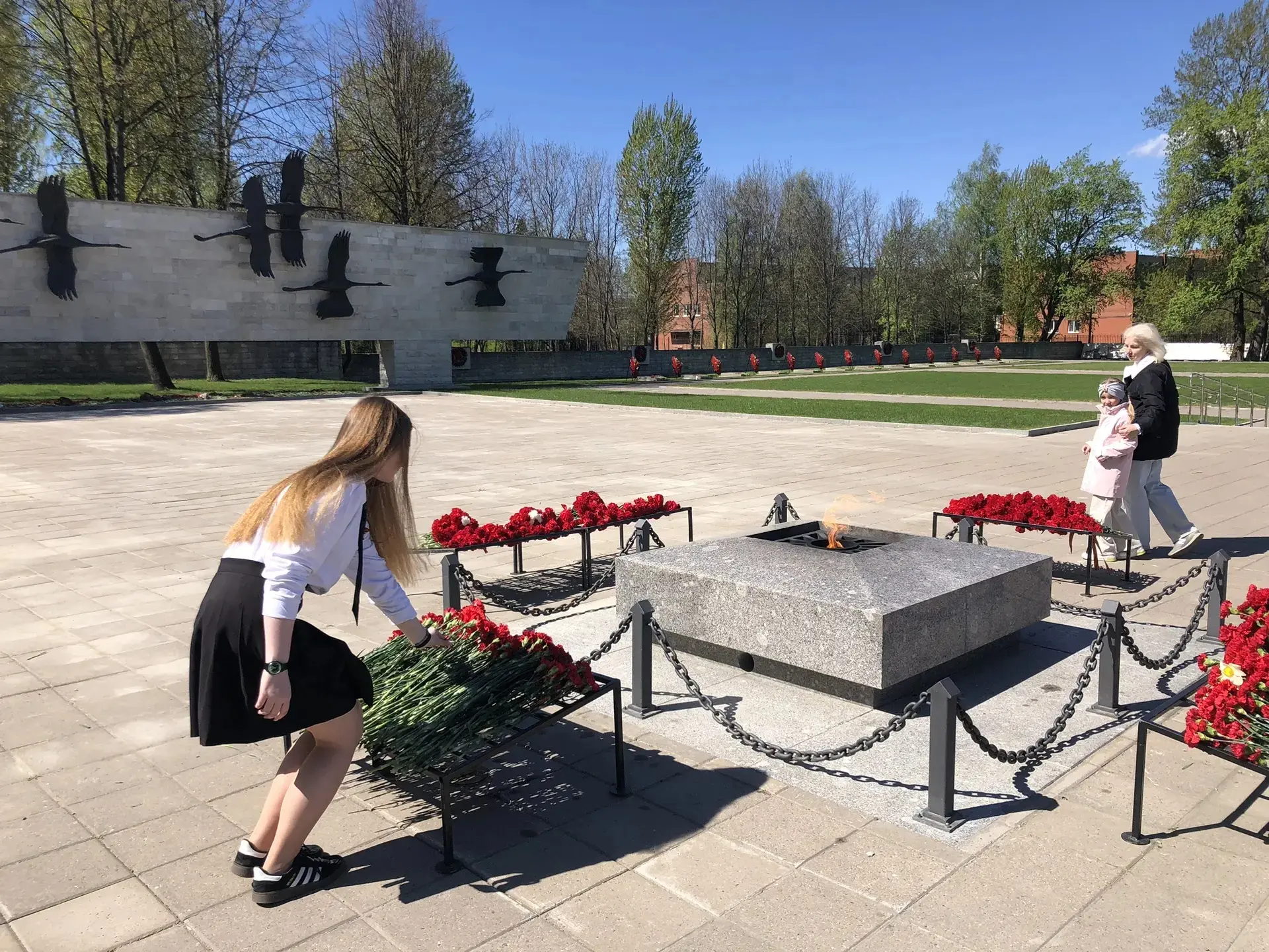 Память, летящая в вечность... 🕊