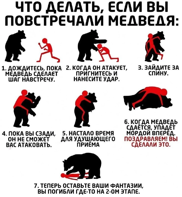 Если встретили медведя