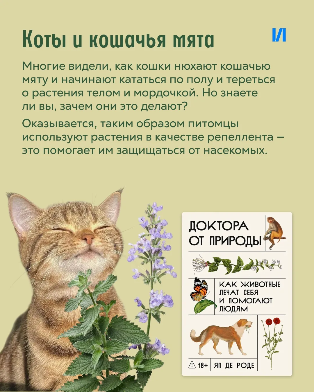 Никаких врачей, справок и очередей в поликлиниках. Только природа и инстинкты 🐾