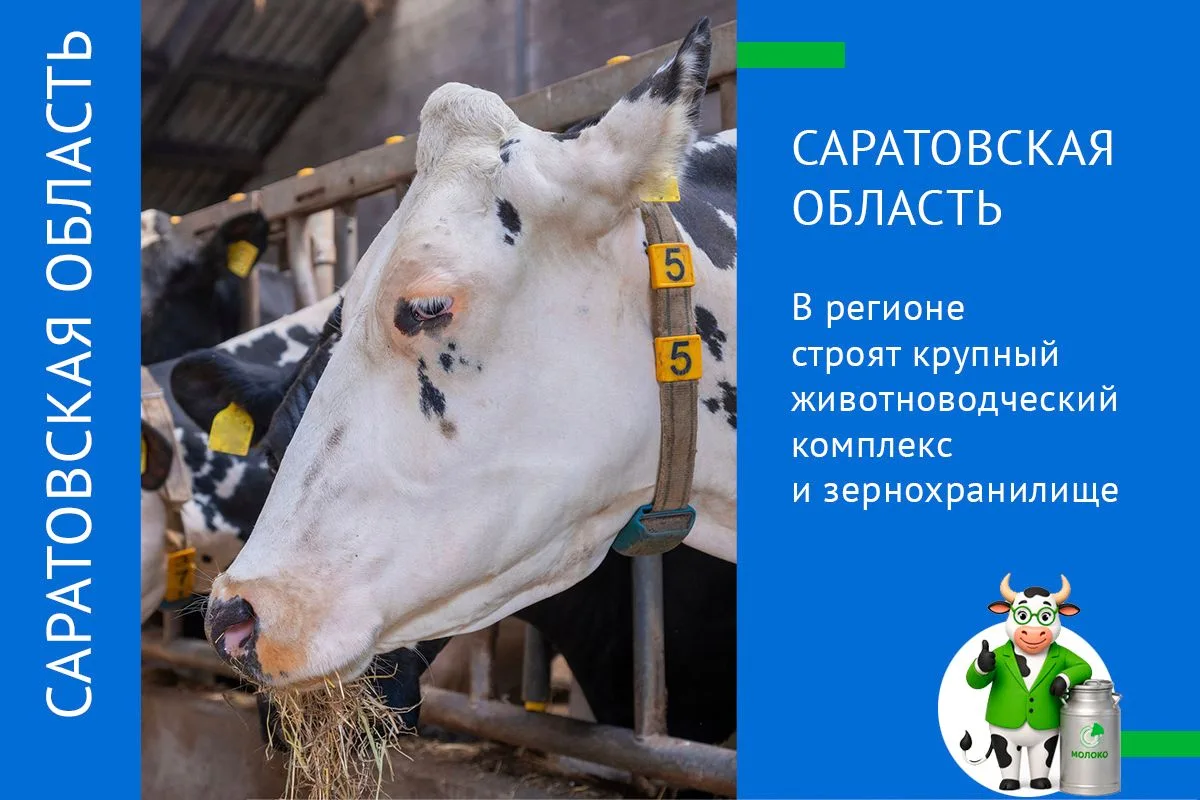 В САРАТОВСКОЙ ОБЛАСТИ СТРОЯТ КРУПНЫЙ ЖИВОТНОВОДЧЕСКИЙ КОМПЛЕКС И ЗЕРНОХРАНИЛИЩЕ
 
🥛 Компания «Агрос