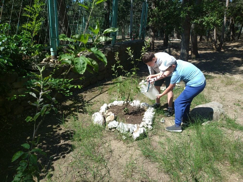 В пришкольном лагере "Пчелка' прошла экологическая акция "Сад памяти", посвящённый Дню эколога и Все