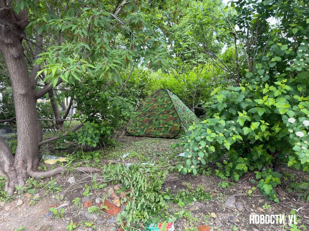 ⛺🌳 В Покровском парке обнаружили палатку среди деревьев

В Покровском парке Владивостока заметили к