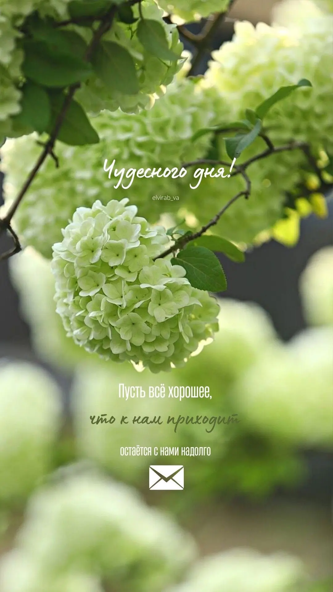 Открытки для улыбки 💌  Подписаться