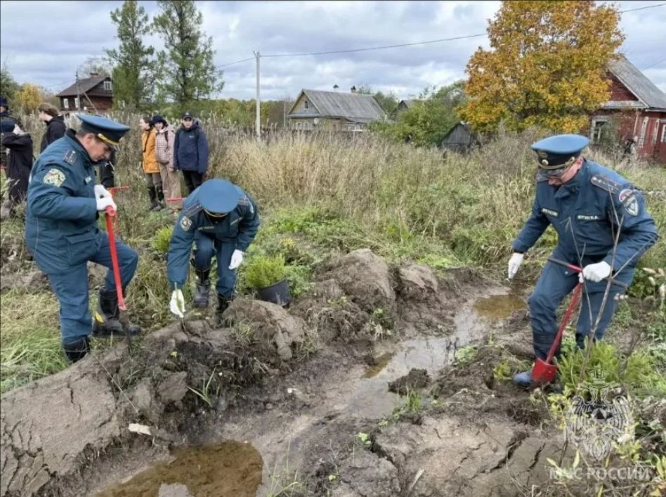 ⚡️Молодёжный совет ГУ МЧС России по Ленобласти — на осеннем дне посадки леса⚡️
