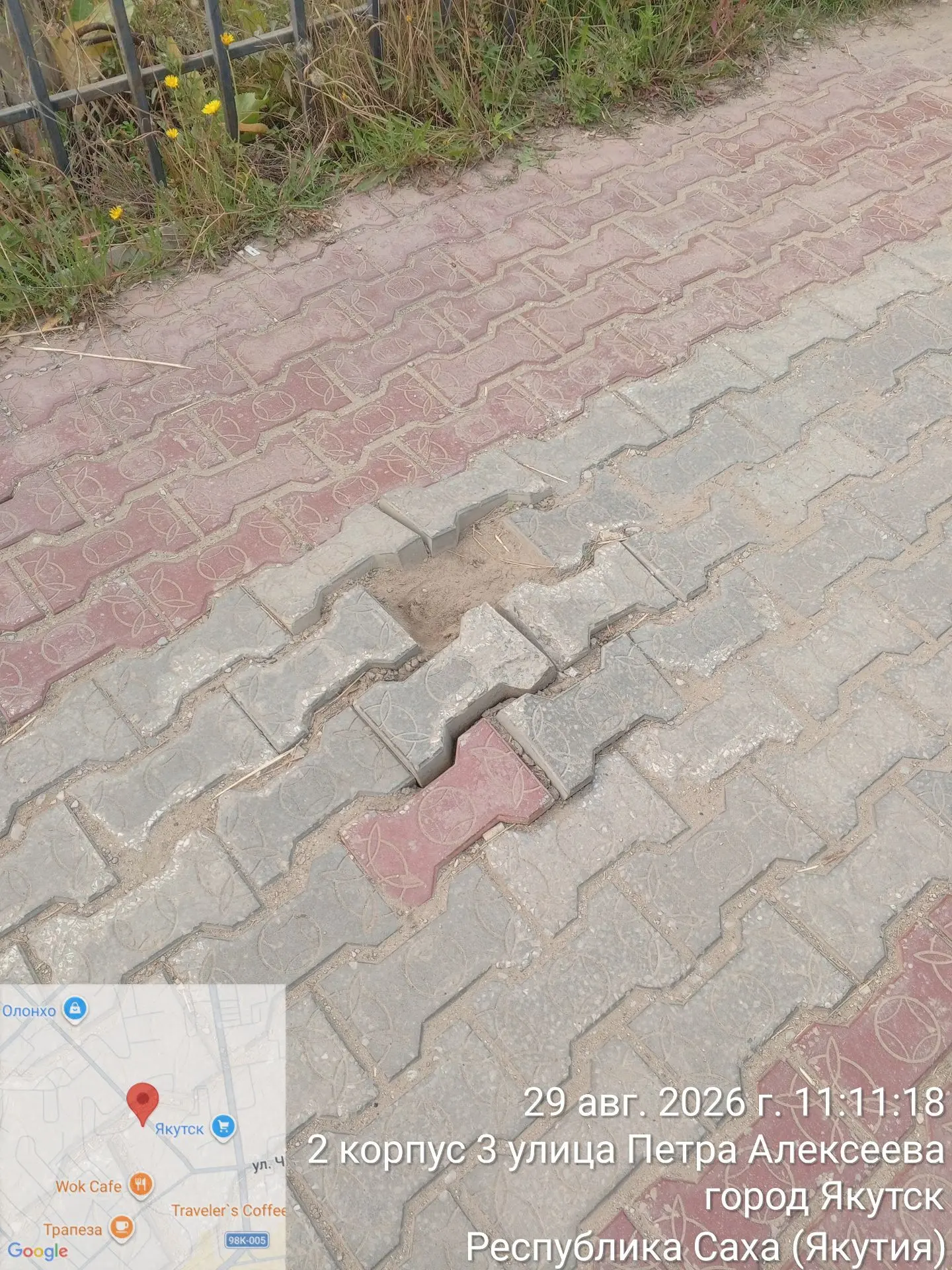 🌳 Акция «Город без пней»: Центральный округ объявляет встречную акцию!