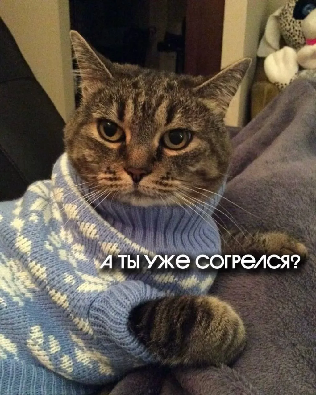 Самая тёплая новость за сегодня ❤️