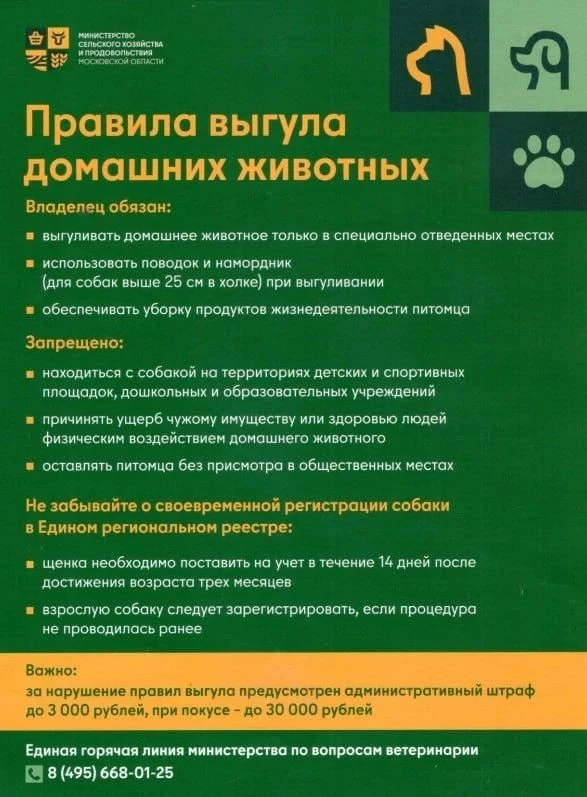 В Подмосковье действуют правила выгула домашних животных 🐶