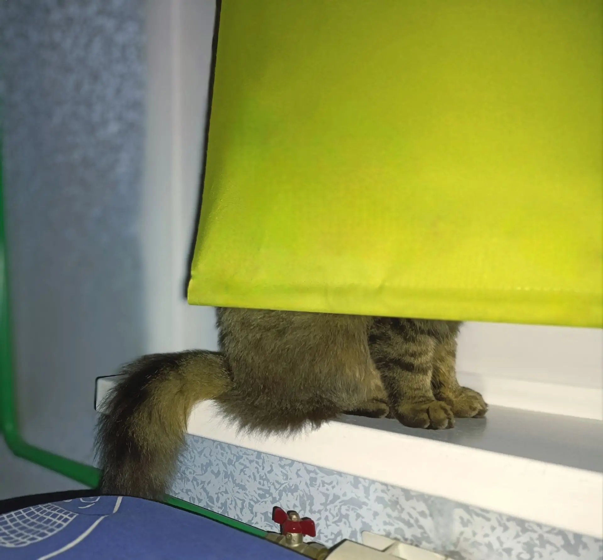 Когда в шесть утра: